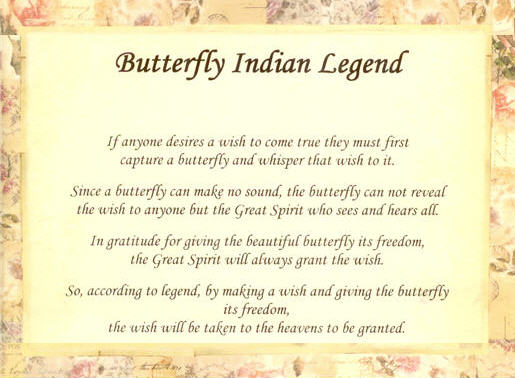 Butterfly Legend