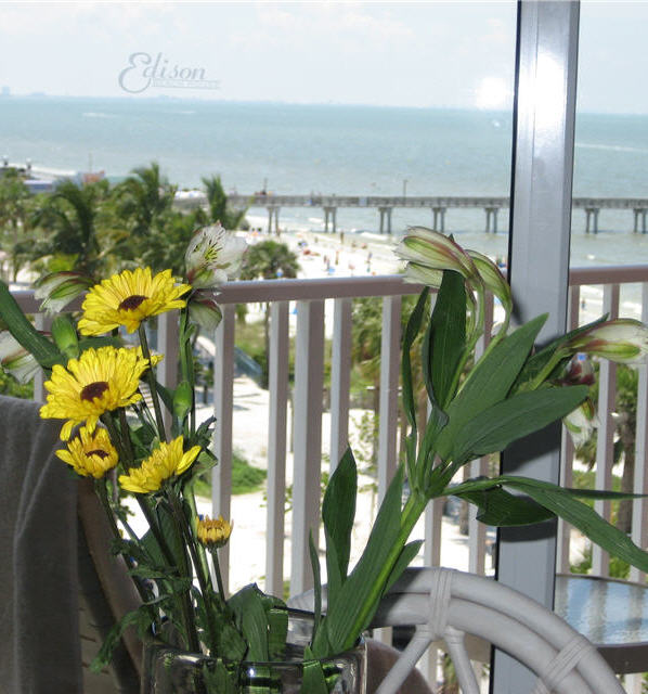 The View from the Room